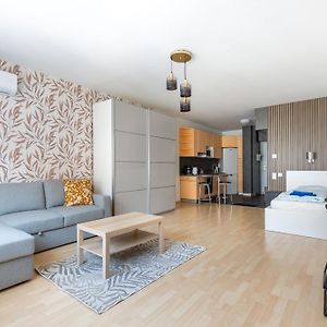 Appartement met een Slaapkamer